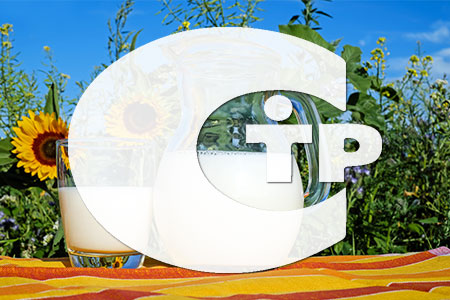 TR №88 关于牛奶及乳制品安全 TR №88 关于牛奶及乳制品安全