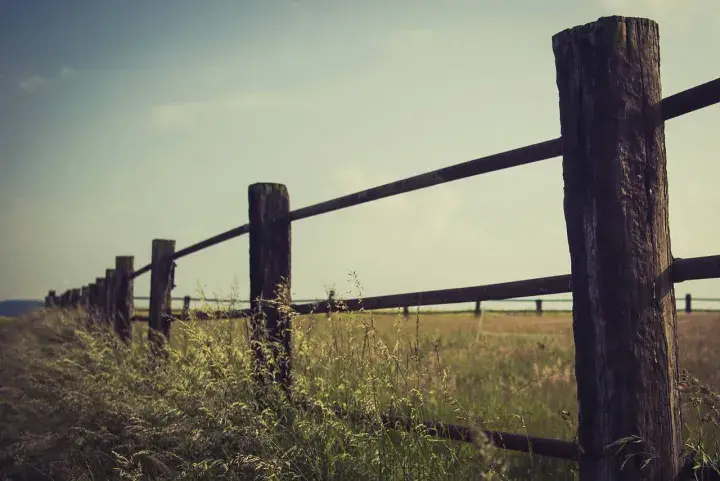 摩尔多瓦启动退出独立国家联合体（CIS）的程序