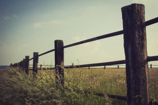 摩尔多瓦启动退出独立国家联合体（CIS）的程序