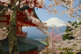 日本离婚证明申请与补办：离婚届受理证明书及海牙认证