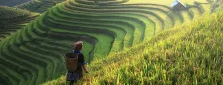 公司核心业务
